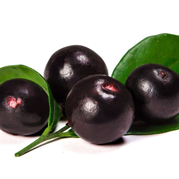 Acai Berry Benefits
