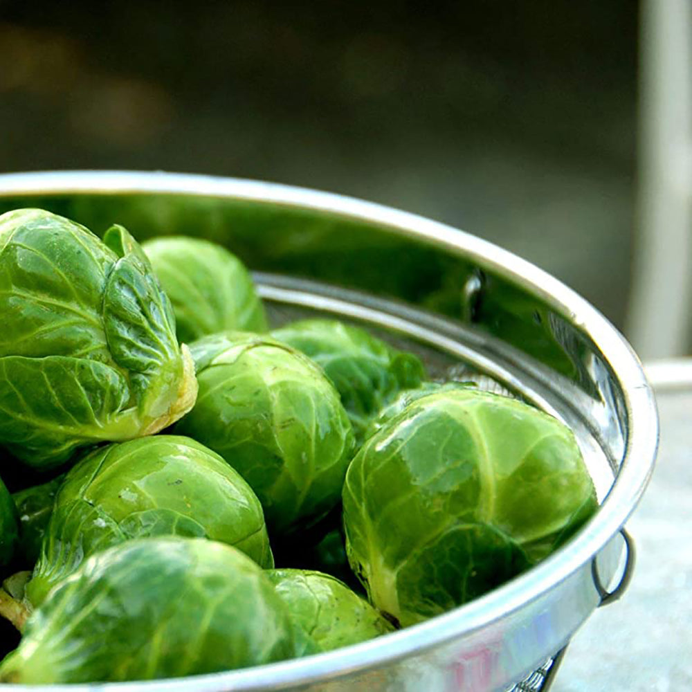 Best High Fibre Foods: This List Will Surprise You!