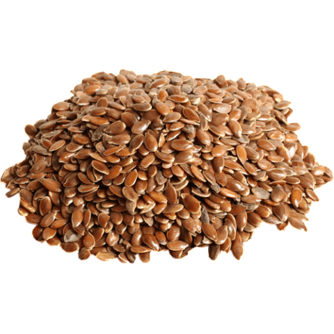 Flax Seed Bondi Beach Tea Co.