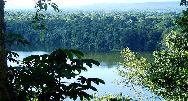 Introducing the Secret Tsimane Diet