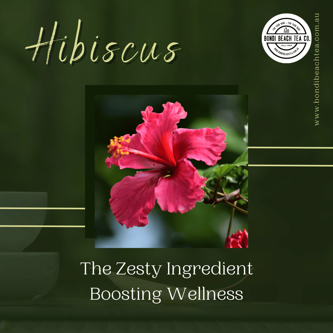 Spotlight on Hibiscus: The Zesty Ingredient Boosting Wellness