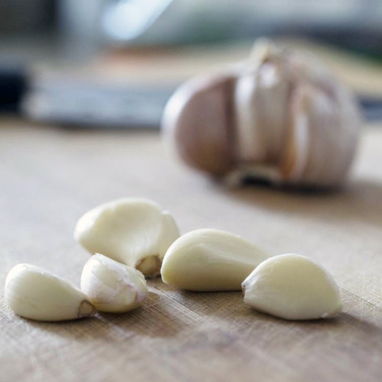 The Power of Natural Antibiotics