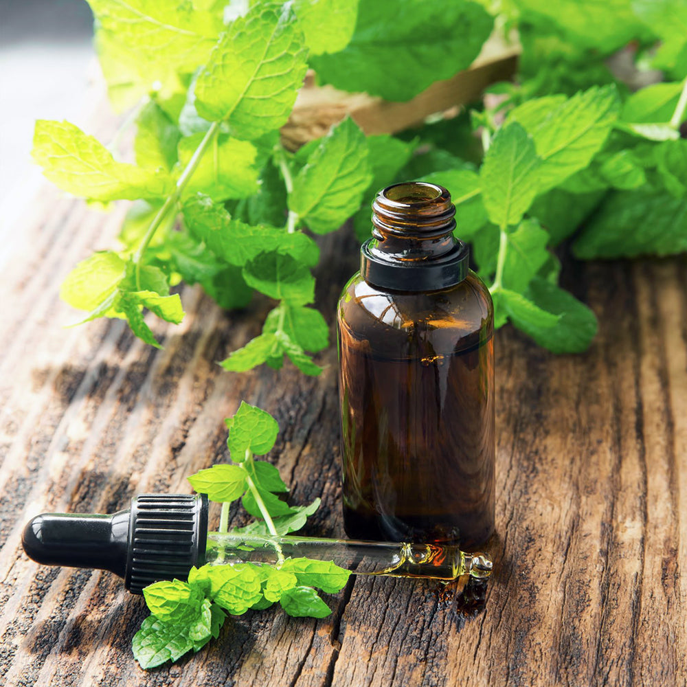 Why We Love Peppermint Oil for Skin
