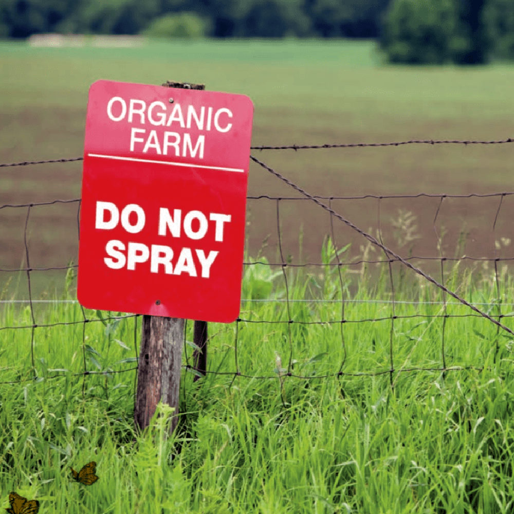 The Concerning Facts About Pesticides on Fruits and Vegetables