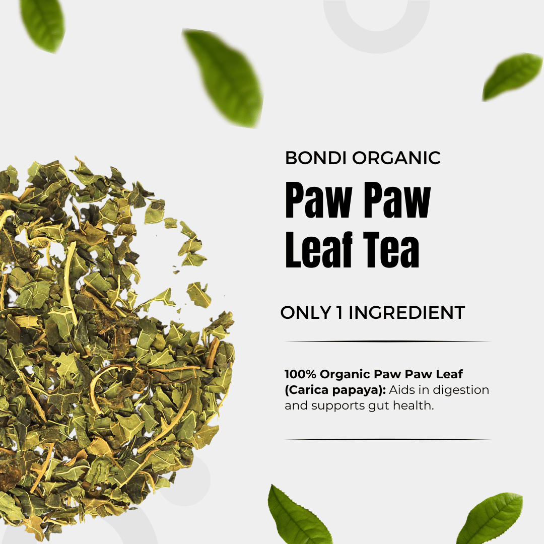 A heap of loose Bondi Organic Paw Paw/Papaya Leaf Tea lies on the left, surrounded by scattered leaves. Text on the right states: Bondi Organic Papaya Leaf Tea by Bondi Beach Tea Co. Only 1 Ingredient. 100% Organic Paw Paw Leaf (Carica papaya): Improves digestion and supports gut health.