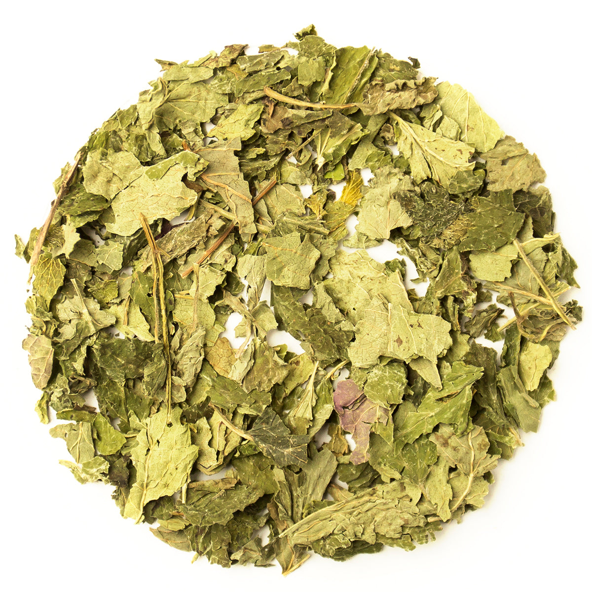 Lemon Balm Leaves Tea - Organic