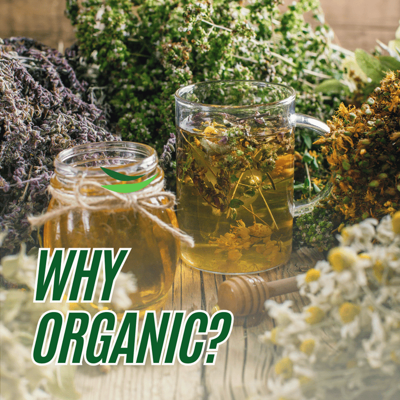 Boecah Tea 5 Reasons Why Organic Tea is Better for the Environment - Bondi Beach ...