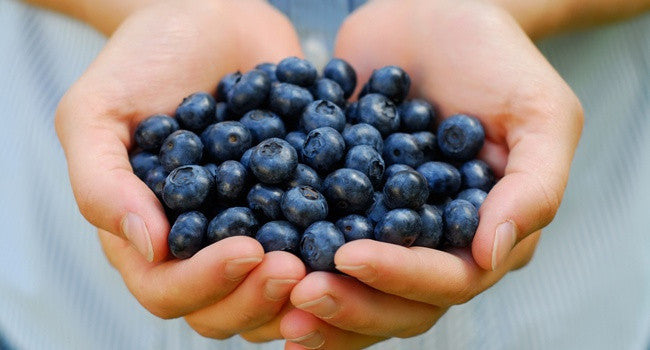 Will an Acai Berry Cleanse Benefit your Health?