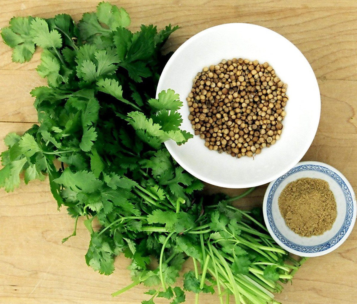 Coriander Seed Oil; How Can It Be Good for You?