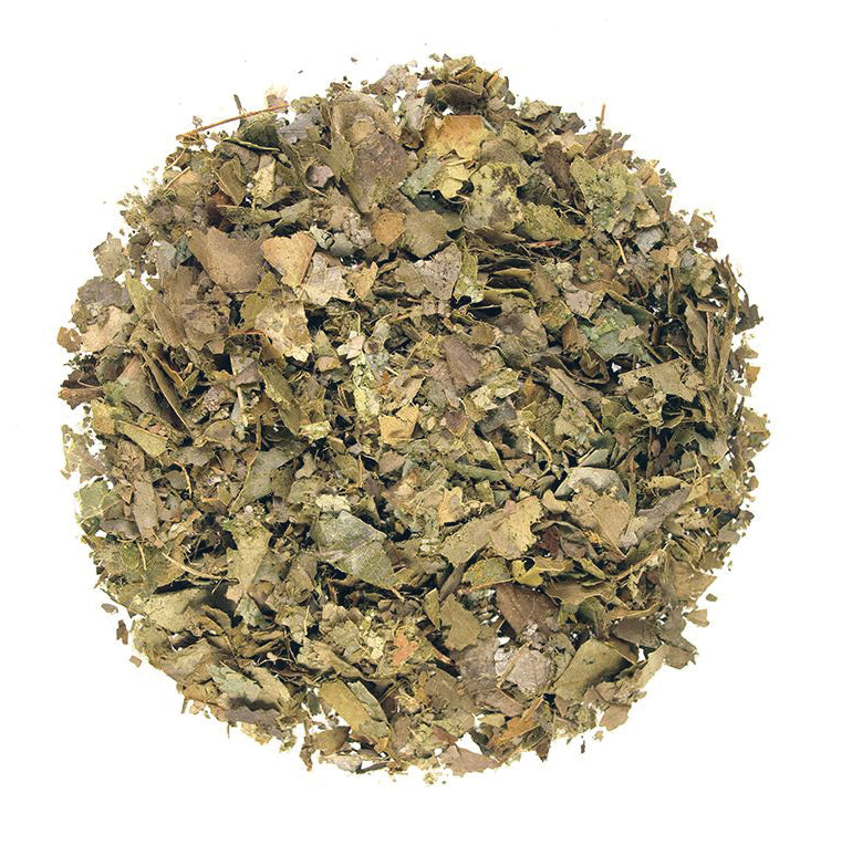 A pile of dried green and brown leaves rests on a white backdrop, showcasing the essence of Soursop Organic - Graviola Tea by Bondi Beach Tea Co. It’s a coarse yet inviting mix of textures and shades, embodying the natural allure of organic soursop tea.