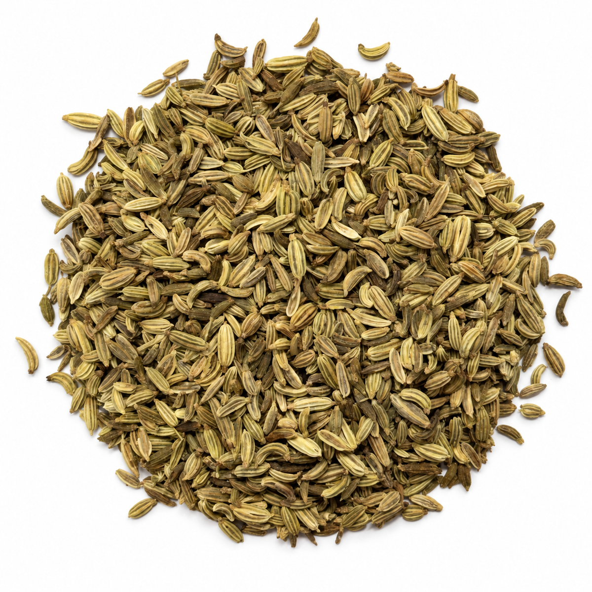 Dried whole fennel seeds on a white background