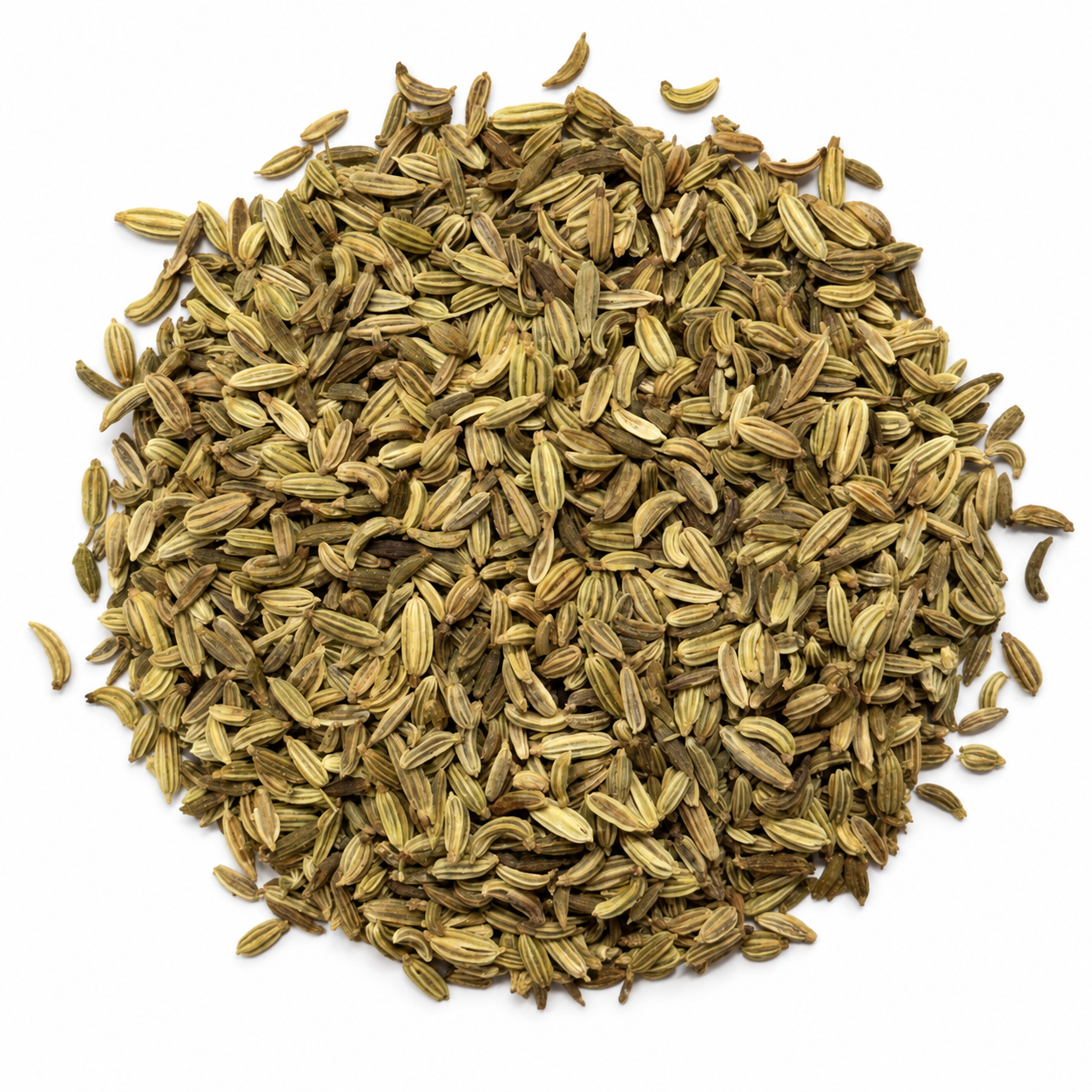 Dried whole fennel seeds on a white background