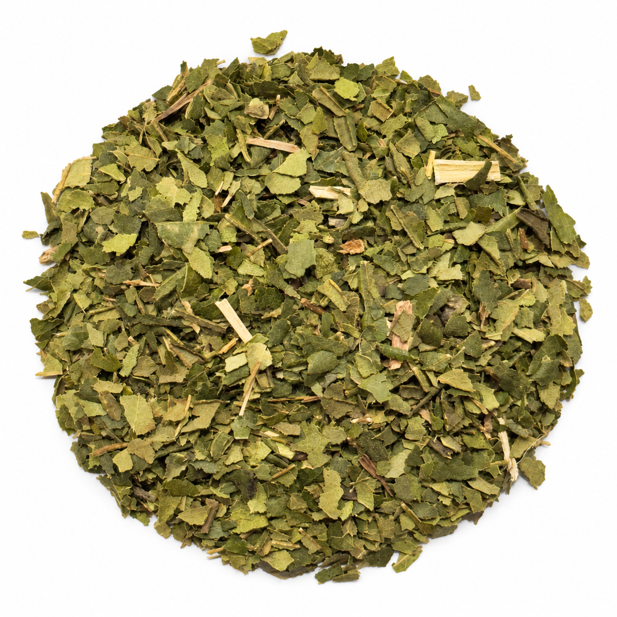 Dried cut lemon myrtle leaves on a white background