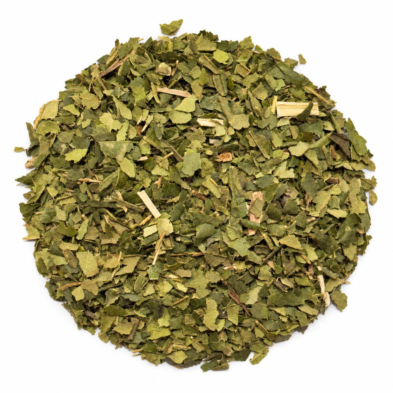 Dried cut lemon myrtle leaves on a white background