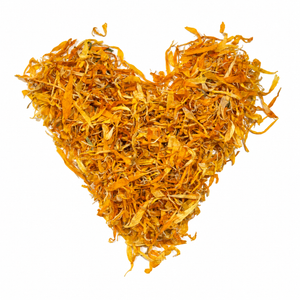 Organic calendula petals in a heart arrangement on a white background